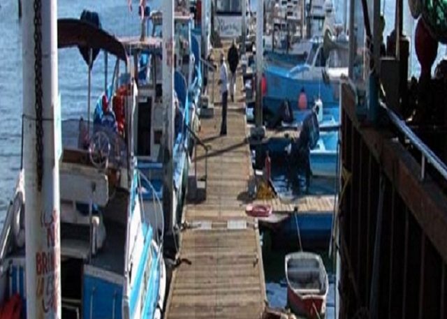 Puerto de barcos